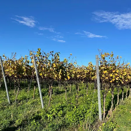 Rebland * Eichstetten