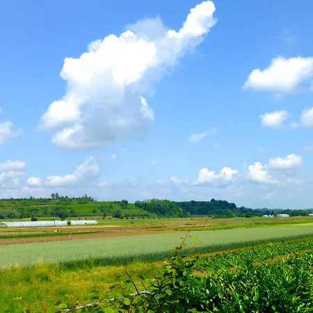 Hotel Gasthof Rebland *